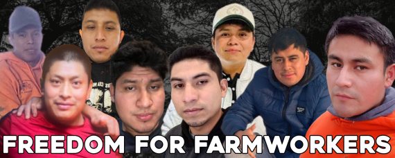 Photo collage of the eight detained farmworkers against a background of trees