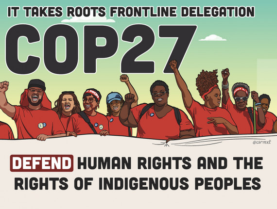 Cartoon image of protesters with banner: DEFEND HUMAN RIGHTS AND THE RIGHTS OF INDIGENOUS PEOPLES, with text at top of image: IT TAKES ROOTS FRONTLINE DELEGATION COP27