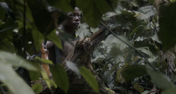 A screenshot of the film shows a man looking at the camera while surrounded by a tropical rainforest